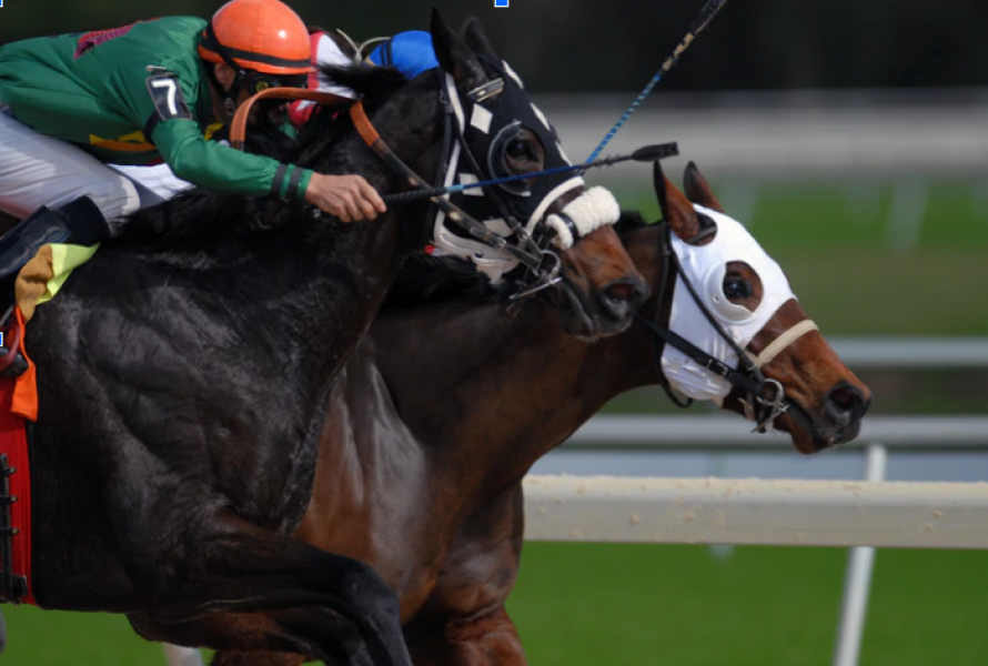 Changes to Watch Out for In the Pegasus World Cup 2020