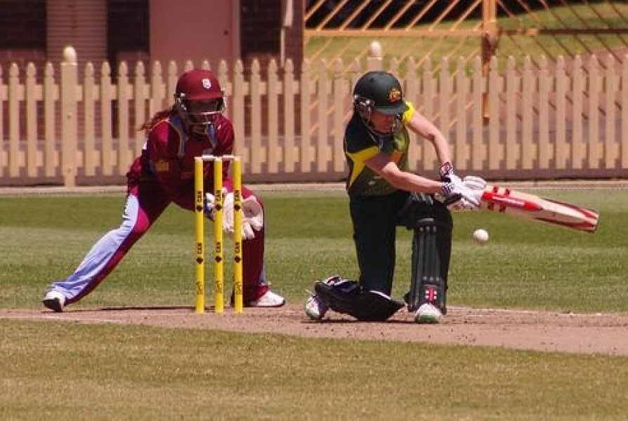 Ashes Battle Offers Pointers for ODI World Cup