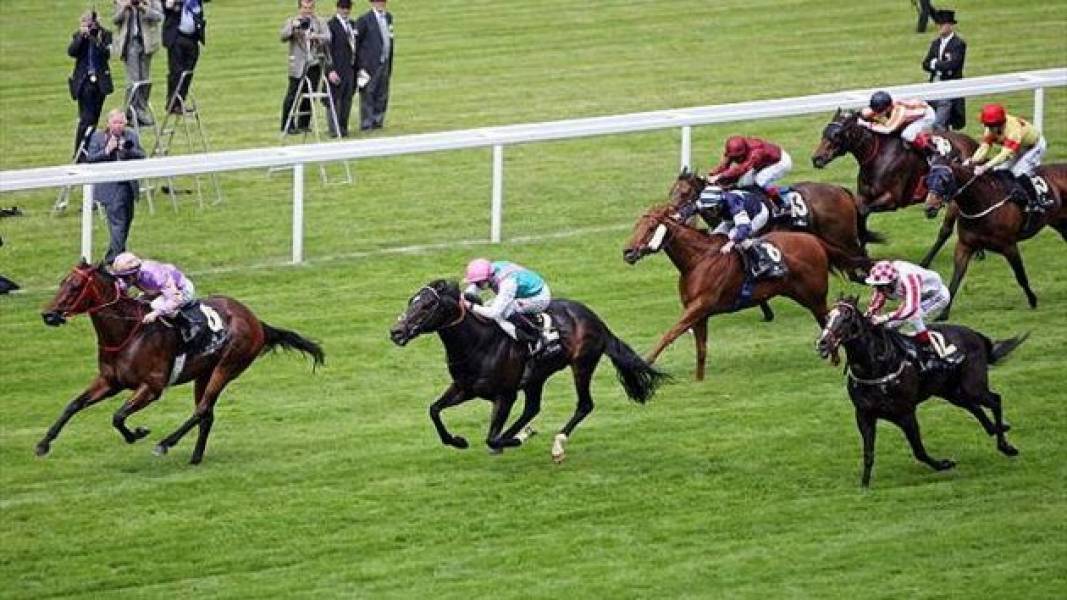 The Cream of the Crop will race at The Cheltenham Festival