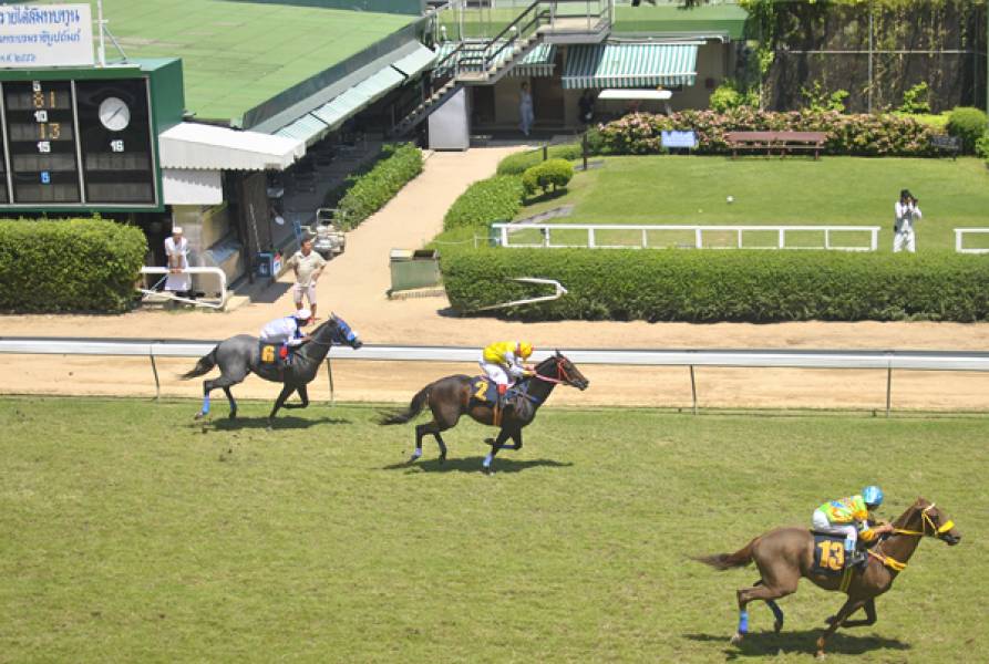 Top 3 ways to bet on horse racing