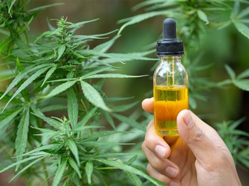 The Effects, Benefits, and Uses of CBD Oil in Pain Management