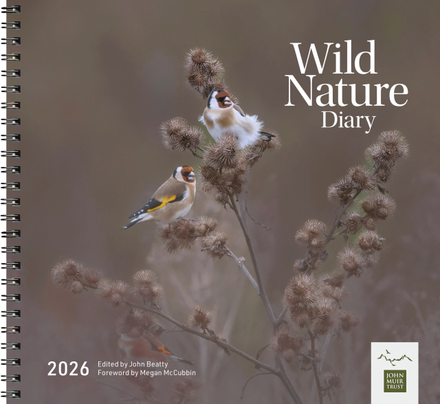 Women sport products - John Beatty Calendar and Diary 2026